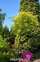 wbgarden spring 19